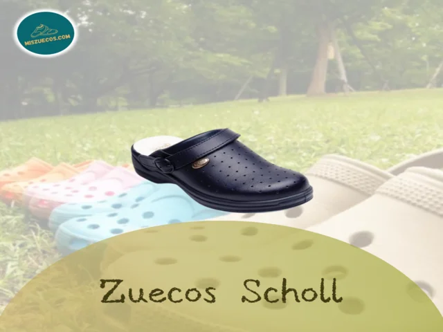 zuecos scholl